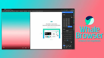 Whale Browser for Windows Review: Best one you can get!