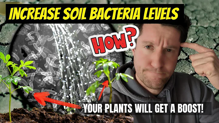 How to boost beneficial soil bacteria