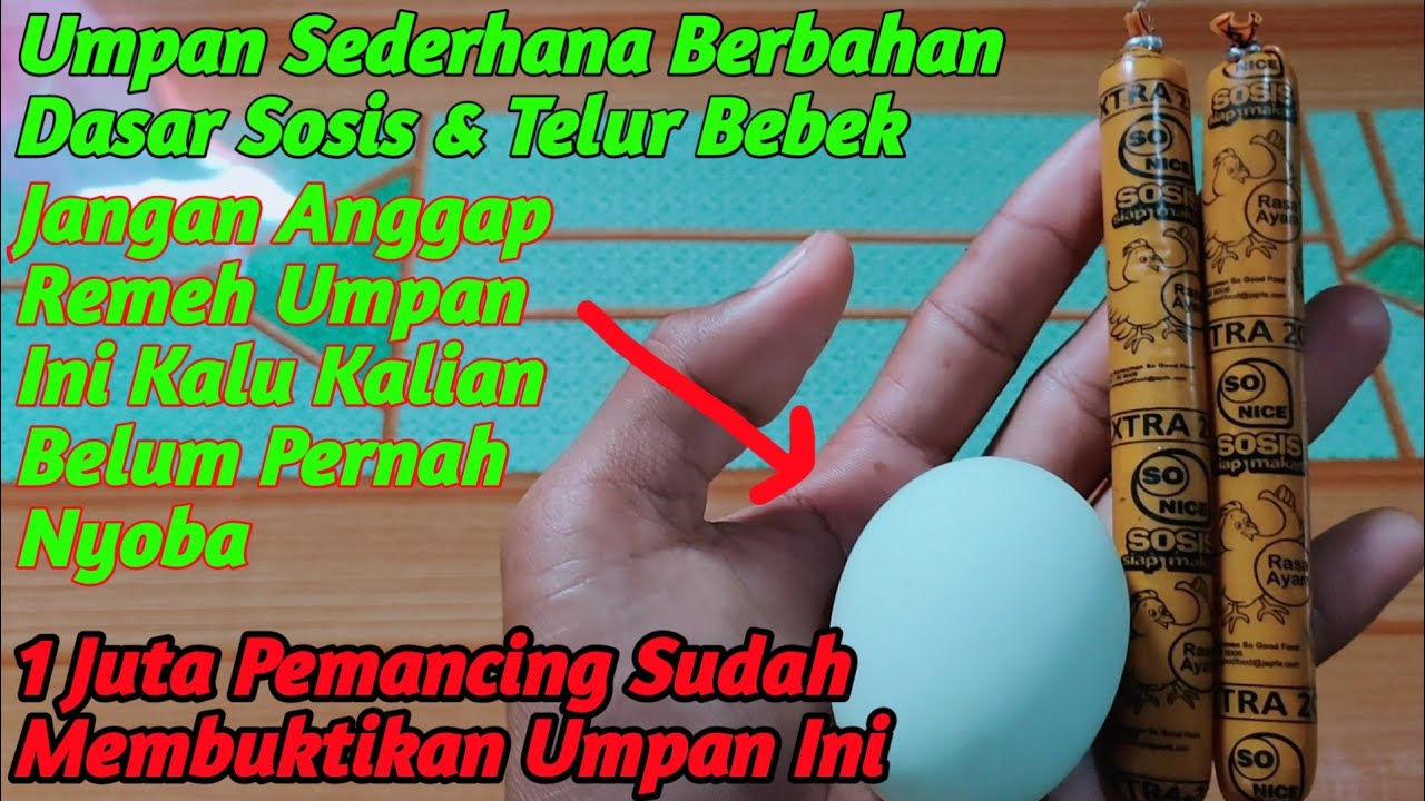 Ini Dia Racikan Umpan Ikan Lele Galatama Terbaru Yang Sangat Di Larang