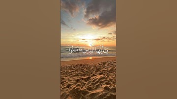 ما تيسر من سوره الاحزاب بصوت القارئ فارس عباد