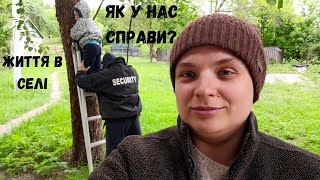 Ховаємо стовпчики у дровник | Чи був приморозок на городі? | Що робити з курником | Життя в селі