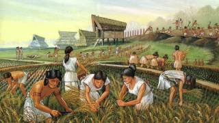 Traditional Economic System