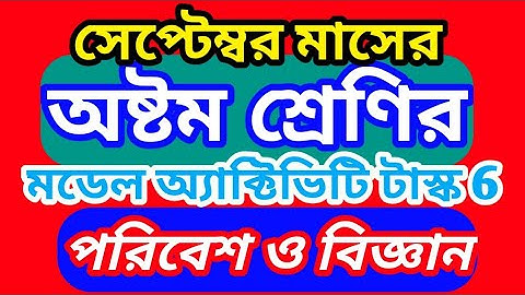 class 8 model activity task part 6 poribesh o biggan September | September biggan activity class 8