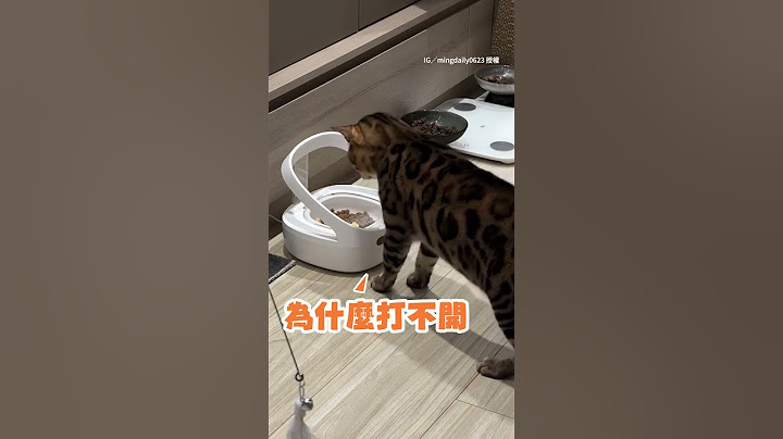 【看得到吃不到】貪吃貓狂揍飯碗感應蓋　餓到直接暴怒XD #Shorts