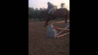 Jumping 3'6