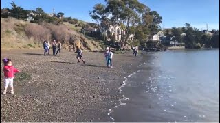 Richardson Bay Audubon Center and Sanctuary