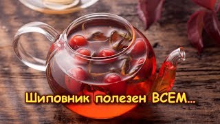 ШИПОВНИК полезен ВСЕМ…