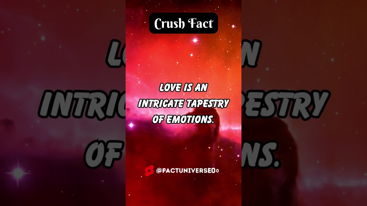 Tapestry of Love: Emotions in Crushes 💖🎨 | Crush Fact 