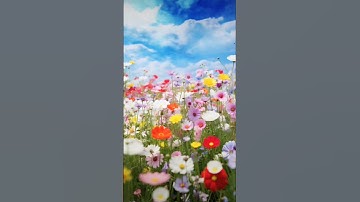 سورة الشورى آية 25 _ 26