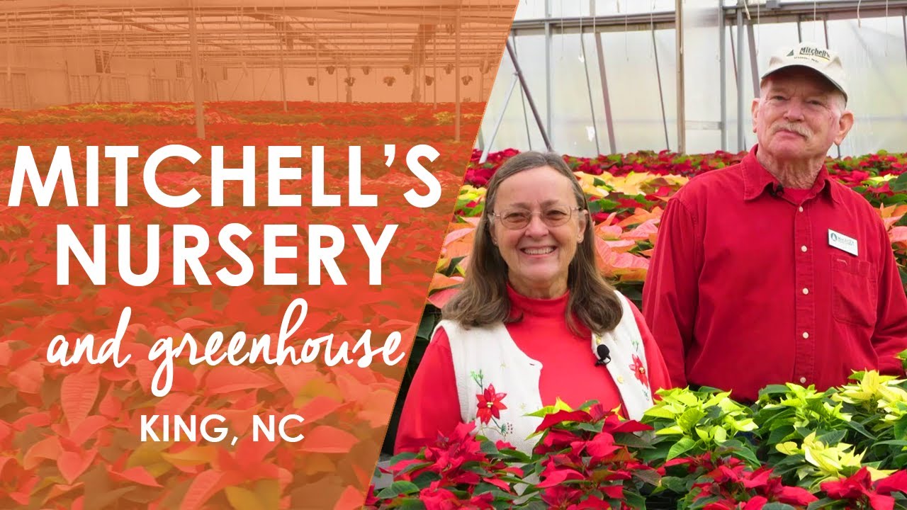 mitchell's nursery tours