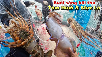 Tập 25 - Nghề lưới ba lớp dính đa hệ của ngư dân