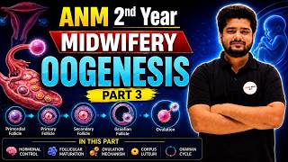 ANM 2nd Year Midwifery Oogenesis Part 3 Hormonal Control, Ovulation & Ovarian Cycle Complete Lecture