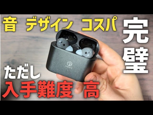 入手困難！出自不明！謎のイヤホンRose masha HiFiGo IEM ROSE Technics Aurora Ultra 有線イヤホン