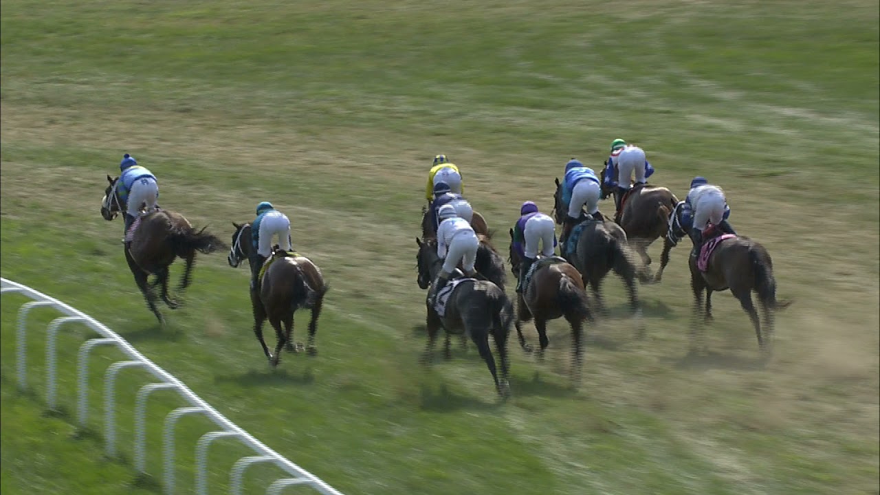 KY Downs: $750K Ladies Turf (G3) head-on 9.11.21: Princess Grace