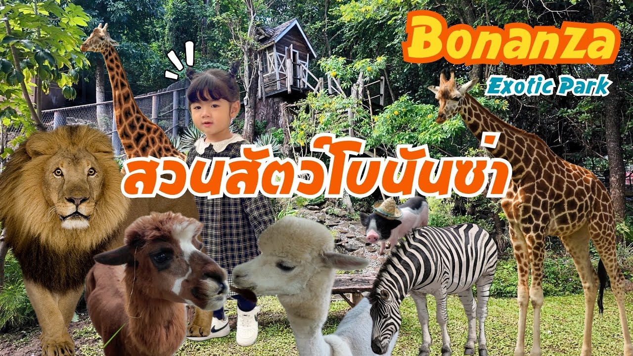 เที่ยวสวนสัตว์โบนันซ่าเขาใหญ่ล่าสุด2025 มีอะไรบ้าง? Bonanza Exotic Park