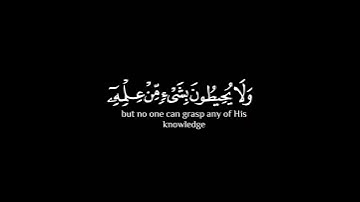 #قران_كريم #بيشة_قادر_الكردي #شاشه_سوداء #سورة_البقرة #استغفر_الله #اللهم_صل_وسلم_على_نبينا_محمد