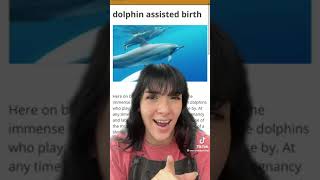 Dangers of Dolphin Assisted Births