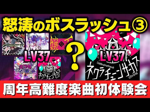 ボスラッシュ 周年記念 高難度楽曲 の ネクラチューンサーカス LV37 を含んだ 周年記念メドレー LV37 が来たので初体験会する 音ゲー プロセカ 初音ミク DOLCE 