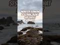 Indikator Kebaikan Seseorang Dilihat Dari Sholat Subuhnya #sholat #short #shorts #shortvideo #video