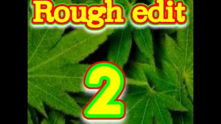 Celebrity Rough edit 2 Wealth