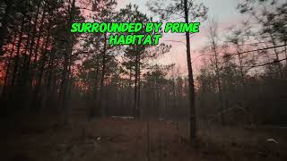 Land For Sale - 25.77 Acres - Warrenton, Ga