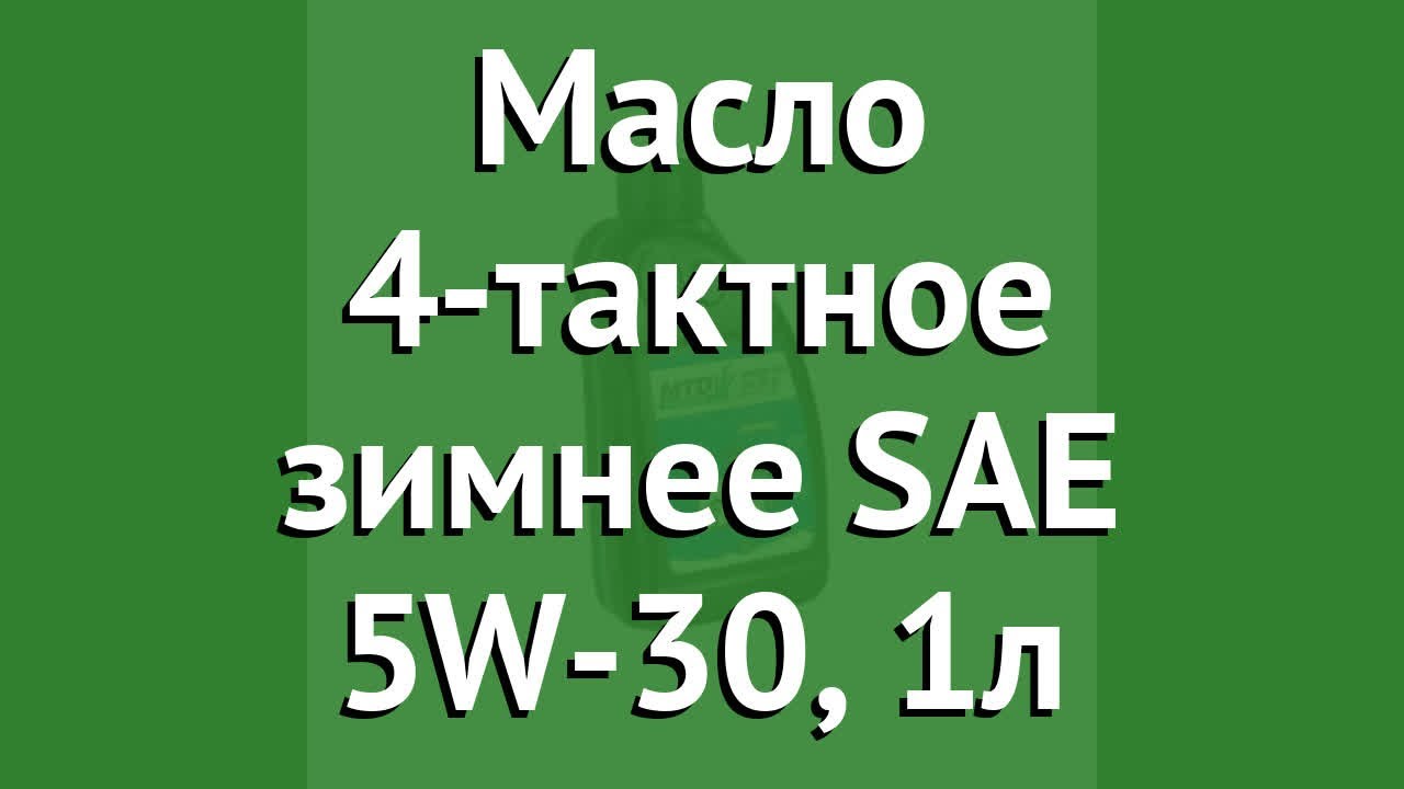 Масло 4-тактное зимнее SAE 5W-30, 1л (MTD) обзор 6012-X1-0040 .