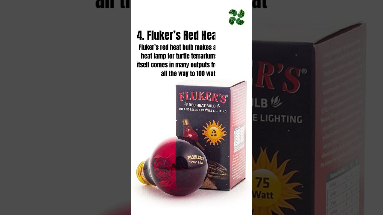 Top 5 Best Heat Lamps for Turtles 