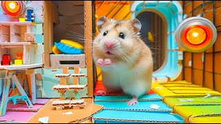 Risky Adventure  Hamster Braves Dangers in the Prison Maze 🐹 Hamster Maze