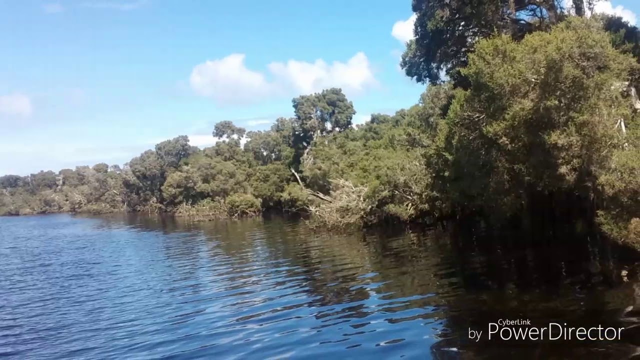 Razor Edge Lures Fatboy Swim Green Pumpkin