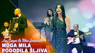 Video thumbnail of "Aca Čergar & Mira Jovanović - Moga Mila pogodila šljiva (UŽIVO 2020)"