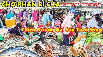 CHỢ PHAN RÍ CỬA BÌNH THUẬN Đông Nghẹt Cuối Tuần, Thiên Đường Hải Sản Tươi Sống Thứ Gì Cũng Có