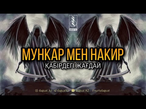 Бейне: Көгілдір балдырларды жей ме?