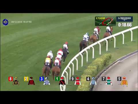 HONG KONG CUP - GLORIOUS FOREVER - 09/12/18 - HONG KONG CUP - GLORIOUS FOREVER - 09/12/18