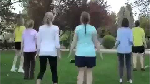 My Erasmus Experience.mp4