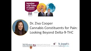 Cannabis Constituents for Pain: Looking Beyond Delta9THC