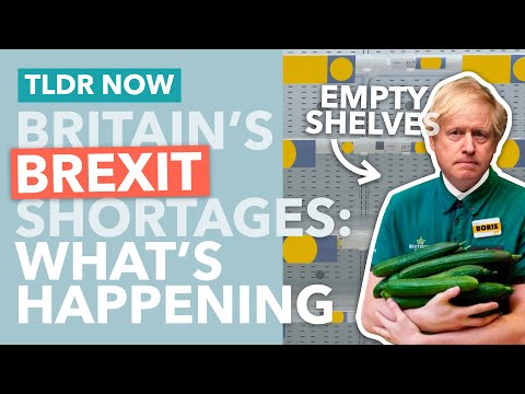 Empty Shelves & HGV Driver Shortages: Brexit 8 Months On - TLDR News