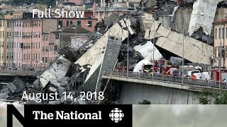 The National for August 14, 2018 — Bridge Collapse, Trump Insults, Wildfire Smoke The National for August 14, 2018 — Bridge Collapse, Trump Insults, Wildfire Smoke