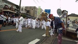 20180915 1016やわたんまち北條の祭り）神明町の山車と安房神社の神輿と年番南町の山車