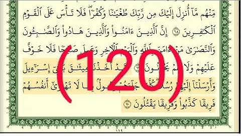 سورة  المائدة رقم الصفحة 120 مجود بصوت القارئ الشيخ أيمن سويد حفظه الله
