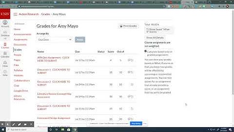 Canvas From a Student Perspective