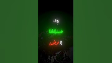 ﴿رَبَّنَا أَبْصَرْنَا وَسَمِعْنَا فَارْجِعْنَا نَعْمَلْ صَالِحًا إِنَّا مُوقِنُونَ🌹﴾ سورة السجدة(١٢)