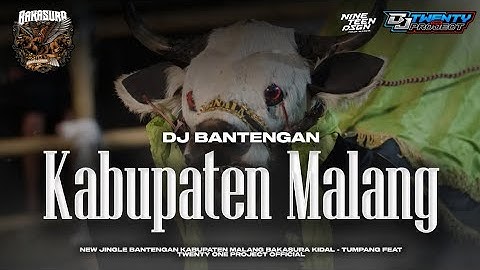 DJ BANTENGAN‼️ KABUPATEN MALANG || BAKASURA KIDAL TUMPANG || REMIXER BY : DJ TWENTY ONE🔥