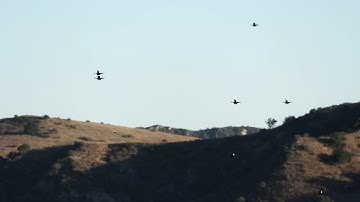 Watch as U.S. Marines Launch a Swarm of Armed FPV Attack Drones