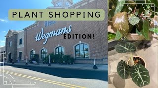 Plant Shopping 🛒| Wegmans Edition ✨
