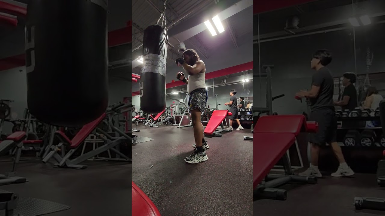 Mikey the Wolf Muay Thai practice 2