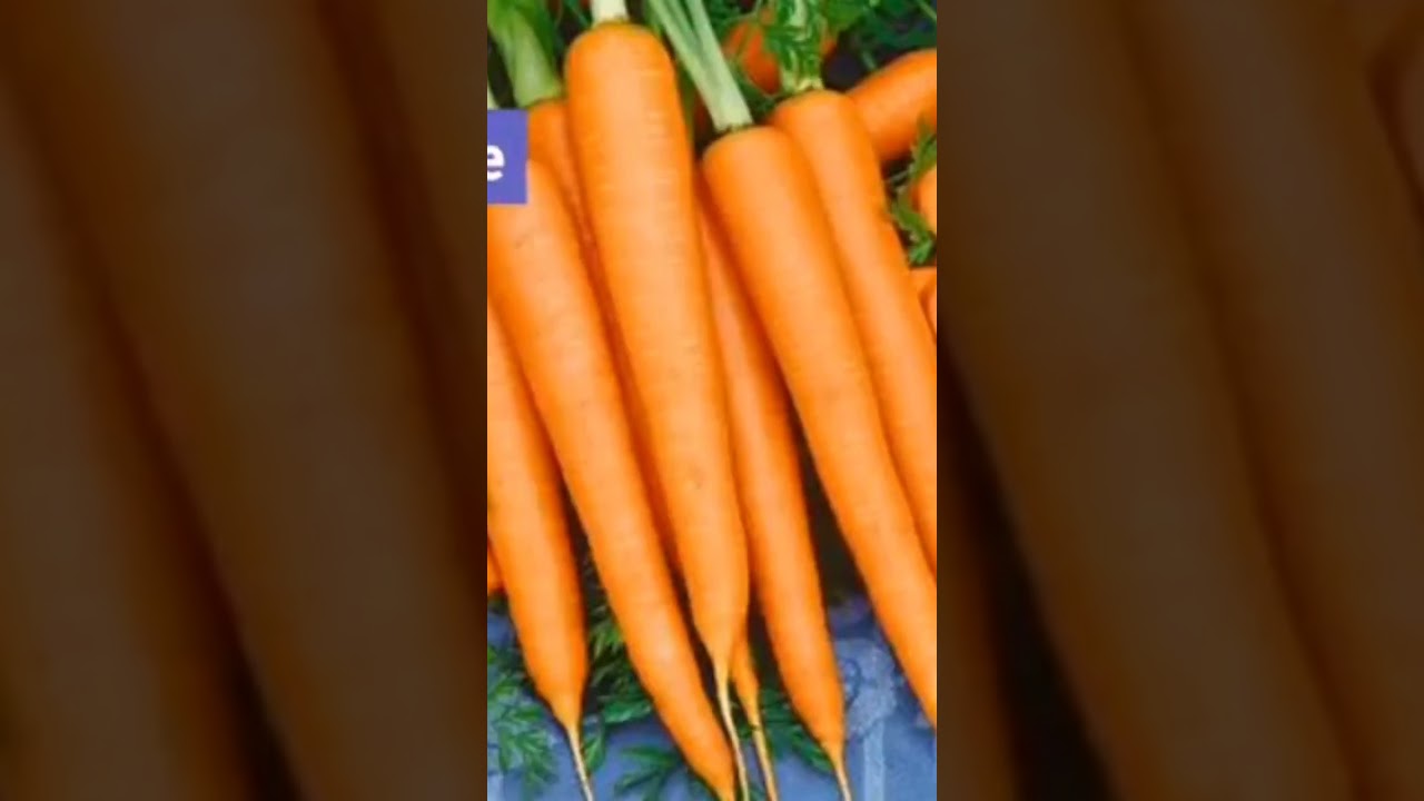 National 3 in 1 Juicer, Blender Grinder Machine N-360