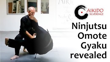NINJUTSU | OMOTE GYAKU REVEALED