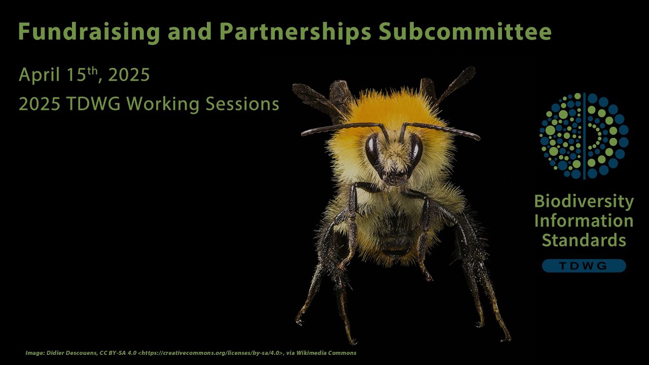 Fundraising and Partnerships Subcommittee 2025-04-15