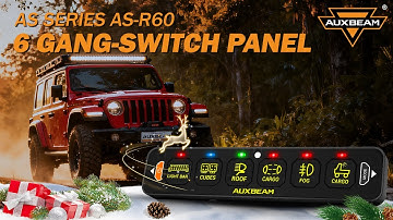 AS Series 6 Gang (AS-R60) RGB Slim Switch Panel, Toggle/ Momentary/ Pulsed Mode Supported