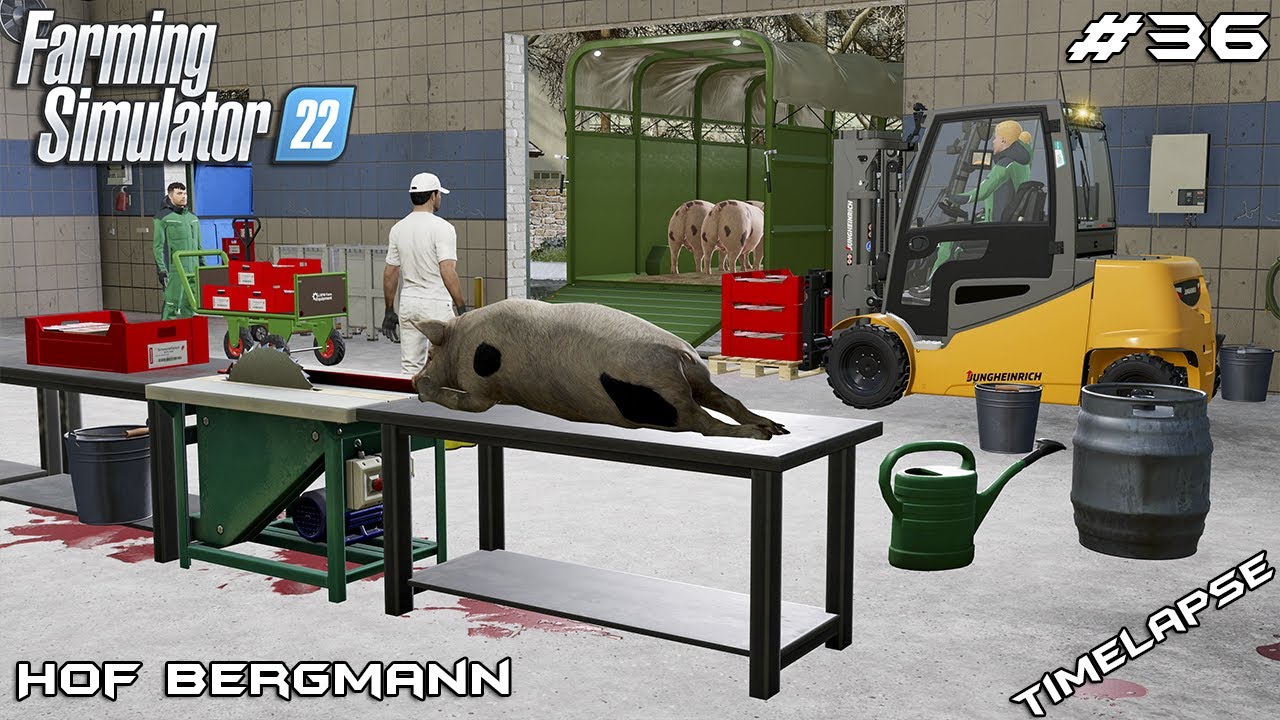 Starting BEER, DAIRY and MEAT PRODUCTIONS | Hof Bergmann | Farming Simulator 22 | Episode 36